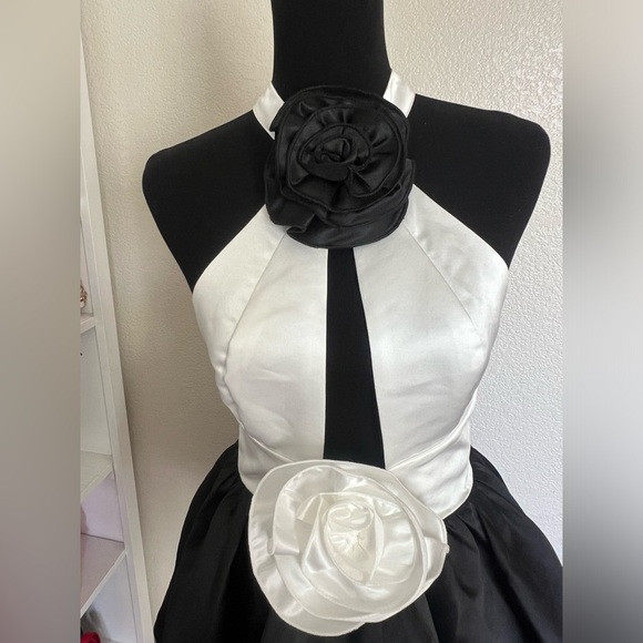 L’atiste by Amy Formal Dress - Picture 3 of 7